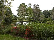 magnolia_plantation_gardens_2015_07