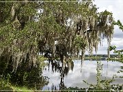 magnolia_plantation_gardens_2015_12