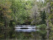 magnolia_plantation_gardens_2015_17