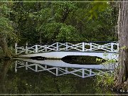 magnolia_plantation_gardens_2015_18