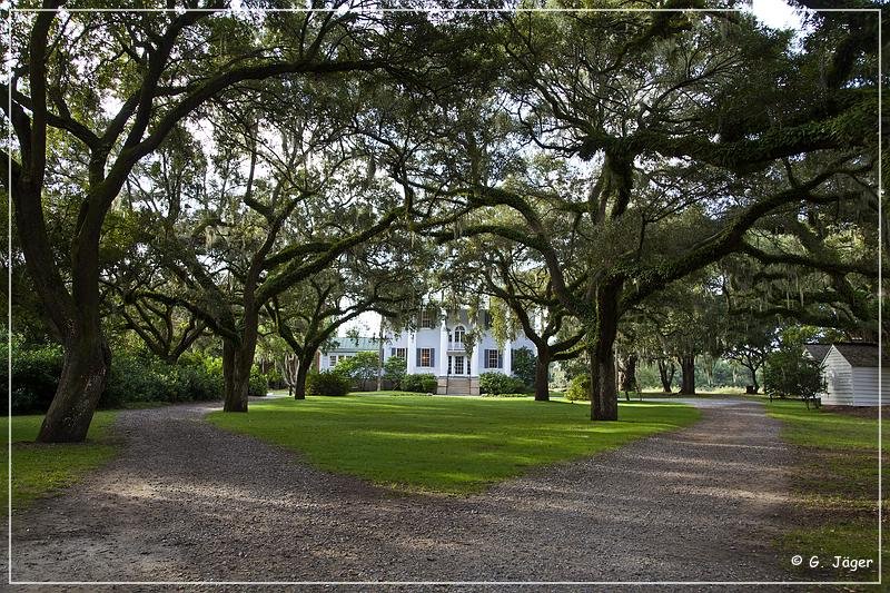 mcleod_plantation_01.jpg