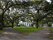 mcleod_plantation_01