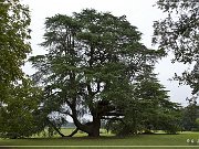 Redcliff Plantation