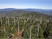Clingmans Dome