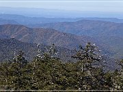 Clingmans Dome