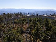 Clingmans Dome
