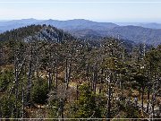 Clingmans Dome
