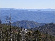 Clingmans Dome