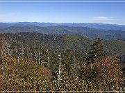 Clingmans Dome