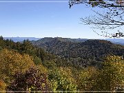 Newfound Gap