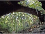 natural_bridge_alabama_08