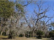 Tallahassee Canopy Roads