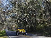 Tallahassee Canopy Roads
