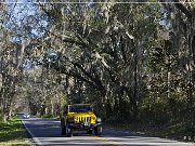 Tallahassee Canopy Roads