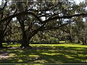 avery_island_jungle_gardens_02