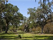 avery_island_jungle_gardens_04