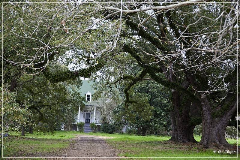 magnolia_plantation_12.jpg