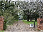 magnolia_plantation_11