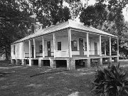 magnolia_plantation_14