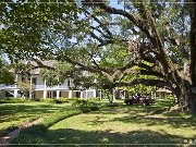 melrose_plantation_19