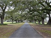 oaklawn_plantation_02