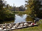 lake_martin_swamp_tour_02