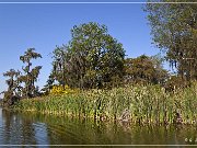 Lake Martin Swamp Tour
