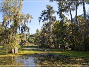 Lake Martin Swamp Tour