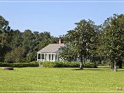 evergreen_plantation_02