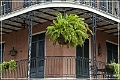 new_orleans_35