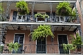 new_orleans_36