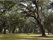 greenwood_plantation_27