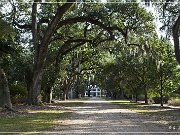 rosedown_plantation_02