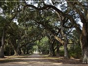 rosedown_plantation_12