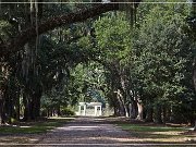 rosedown_plantation_28