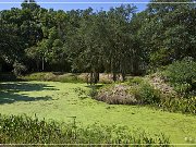 Avery Island