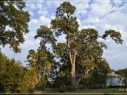 natchez_auburn_house_05