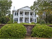 rosswood_plantation_02