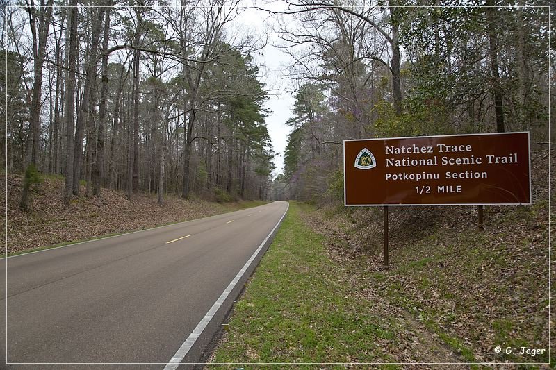 natchez_trace_parkway_ms_01.jpg