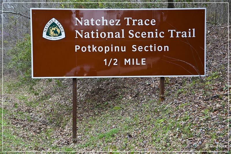 natchez_trace_parkway_ms_02.jpg