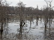 Tchula Lake