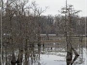 Tchula Lake