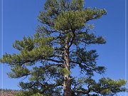 Red Mountain, Flagstaff, Arizona