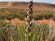 boundary_butte_arch_14