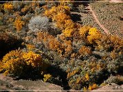 Canyon de Chelly NM