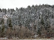 Chuska Mountains