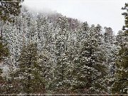 Chuska Mountains
