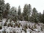 Chuska Mountains