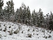 Chuska Mountains