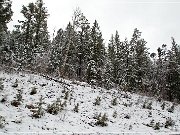 chuska_mountains_winter_11